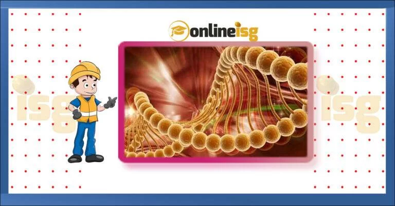 Kanserojen veya Mutajen Maddelerle Çalışmalarda Sağlık ve Güvenlik Önlemleri Yönetmeliği