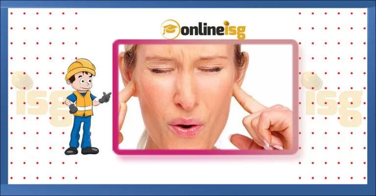 Çalışanların Gürültü ile İlgili Risklerden Korunmalarına Dair Yönetmelik