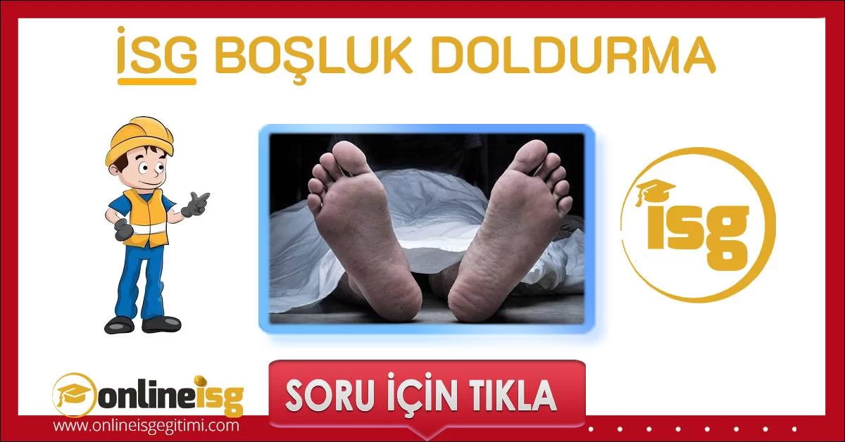 bosluk doldurma pro 4006 ipucu