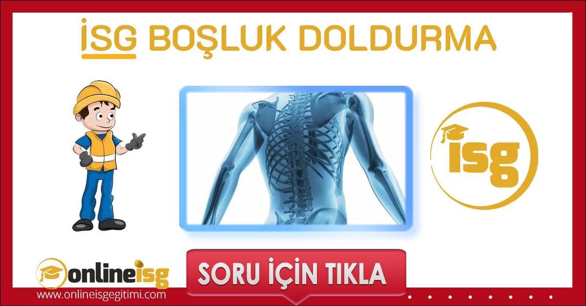 bosluk doldurma pro 5004 ipucu